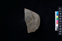 藏品(磨製石斧殘件)的圖片