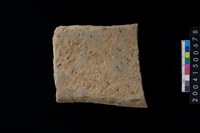 藏品(磨製石斧殘件)的圖片