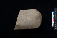 藏品(磨製石斧殘件)的圖片