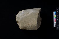 藏品(磨製石斧殘件)的圖片