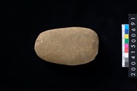 藏品(石錘)的圖片