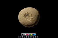 藏品(凹石∕石錘)的圖片