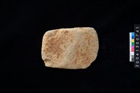 藏品(磨製石斧)的圖片