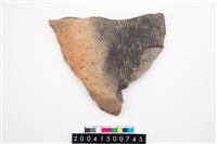 藏品(腹片)的圖片