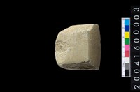 藏品(石錛)的圖片