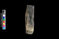 藏品(玉錛)的圖片