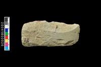 藏品(石錛)的圖片