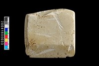 藏品(石錛)的圖片