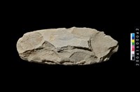 藏品(石鋤)的圖片