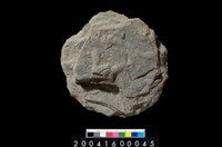 藏品(圓盤形砍伐器)的圖片