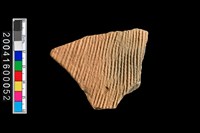 藏品(繩紋腹片)的圖片