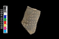 藏品(腹片)的圖片