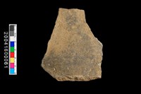 藏品(腹片)的圖片