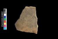 藏品(腹片)的圖片