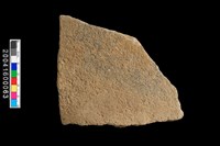 藏品(腹片)的圖片