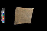 藏品(腹片)的圖片