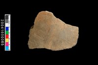 藏品(腹片)的圖片