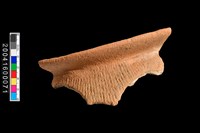 藏品(繩紋罐口緣)的圖片