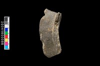 藏品(口緣)的圖片