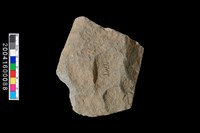 藏品(打製石斧)的圖片