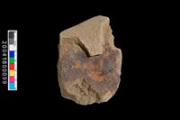 藏品(刮削器)的圖片