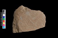 藏品(磨製石斧)的圖片