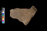 藏品(石錛)的圖片