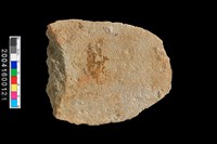 藏品(刮削器)的圖片