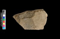 藏品(打製石斧)的圖片