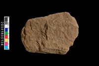 藏品(打製石斧)的圖片