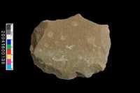 藏品(砍伐器)的圖片