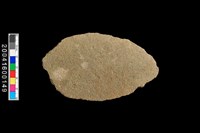 藏品(刮削器)的圖片