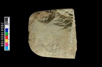 藏品(磨製石斧)的圖片