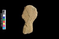 藏品(打製石斧)的圖片