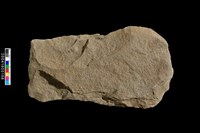 藏品(打製石斧)的圖片