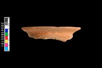 藏品(繩紋口緣)的圖片