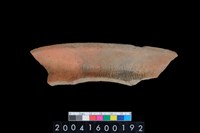 藏品(繩紋口緣)的圖片