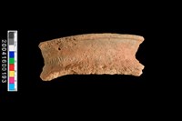 藏品(繩紋口緣)的圖片