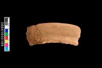 藏品(繩紋口緣)的圖片