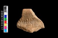 藏品(繩紋口緣殘件)的圖片