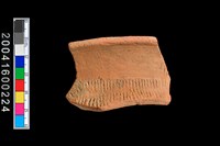 藏品(繩紋口緣殘件)的圖片