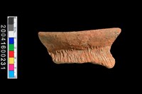 藏品(繩紋口緣殘件)的圖片