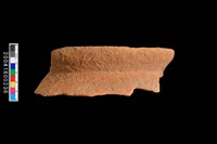 藏品(罐口緣殘件)的圖片