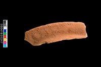 藏品(罐口緣殘件)的圖片