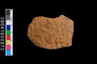 藏品(腹片)的圖片