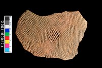 藏品(繩紋腹片)的圖片