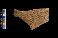 藏品(繩紋腹片)的圖片