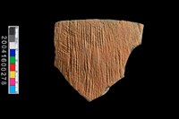 藏品(繩紋腹片)的圖片