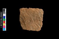 藏品(繩紋腹片)的圖片