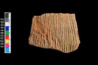 藏品(繩紋腹片)的圖片